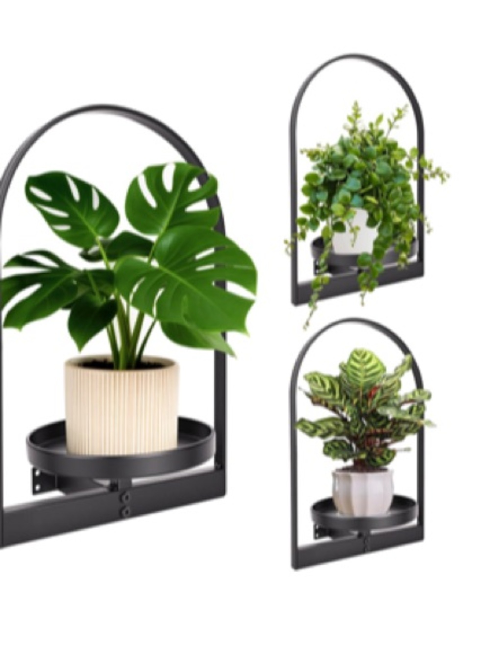 Black 3-Pack Metal Wall Plant Holders